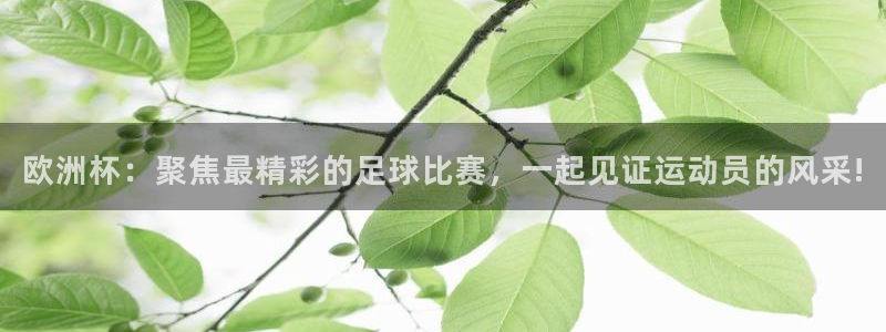 劲爆体育频道直播表：欧洲杯：聚焦最精彩的足球比赛，一起见证运动员的风采!