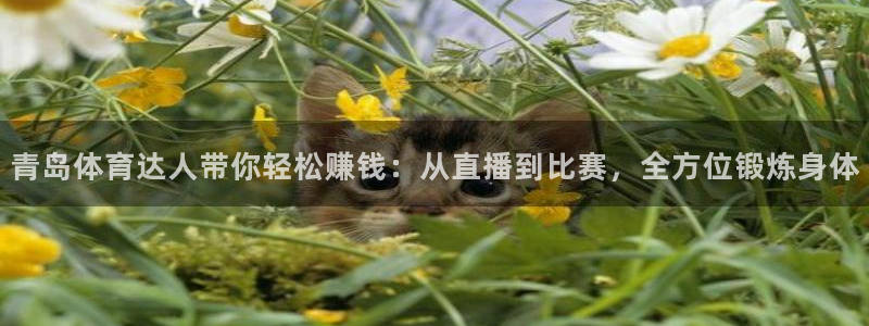劲爆体育直播节目表：青岛体育达人带你轻松赚钱：从直播到比赛，全方位锻炼身体